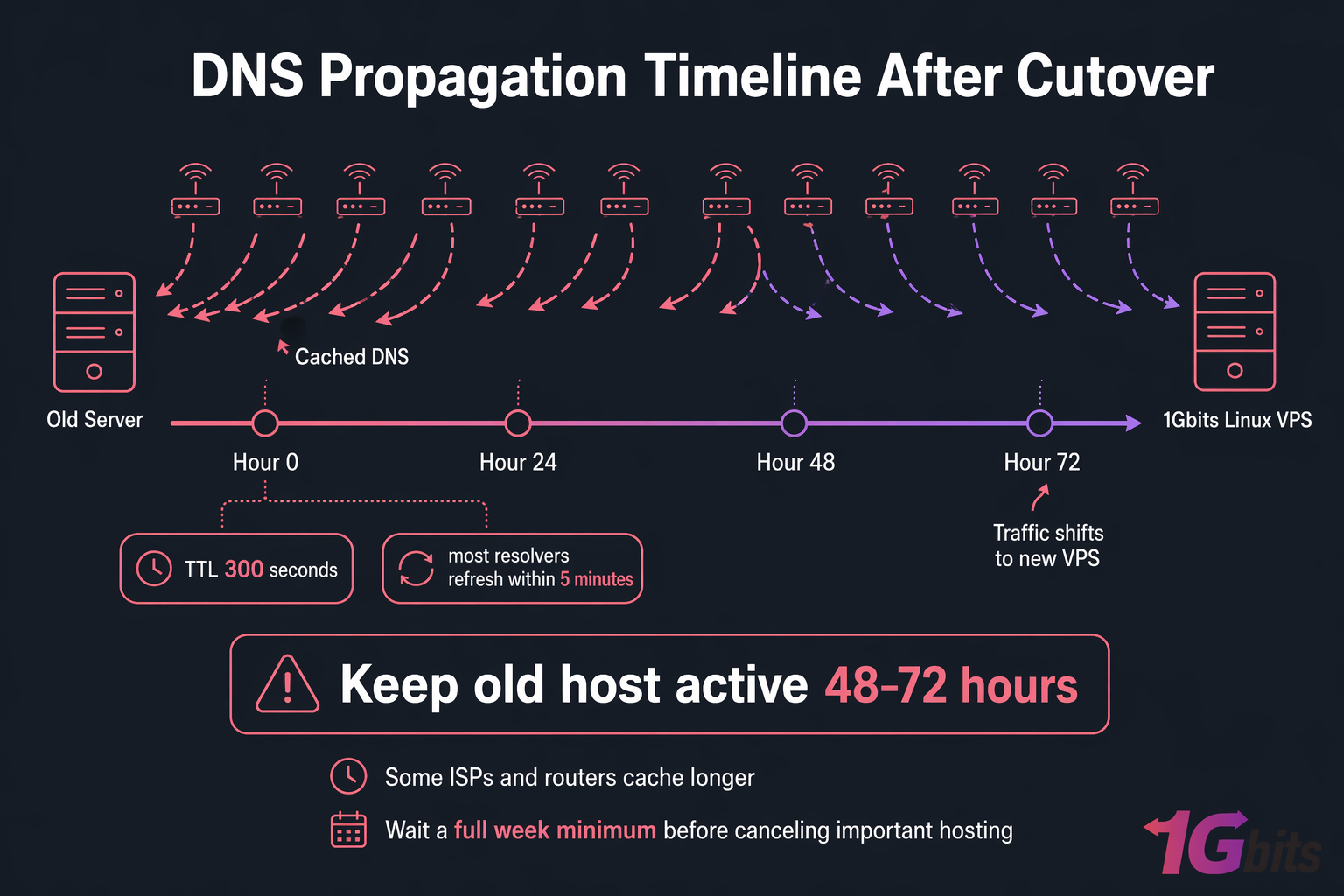 DNS propagation timeline showing traffic moving from old server to new VPS over 72 hours