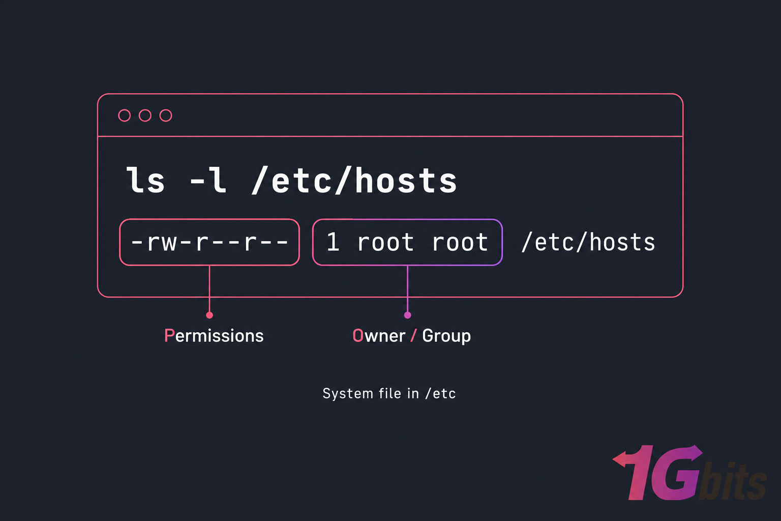 Stylised terminal illustration of ls -l /etc/hosts highlighting permissions and root ownership.