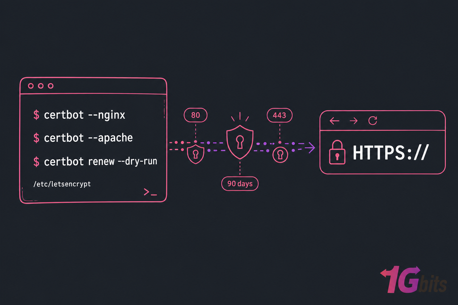 Dark editorial illustration of Certbot terminal commands connecting to a secure HTTPS browser bar with padlock.