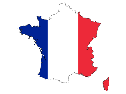 France Dedicated Server 