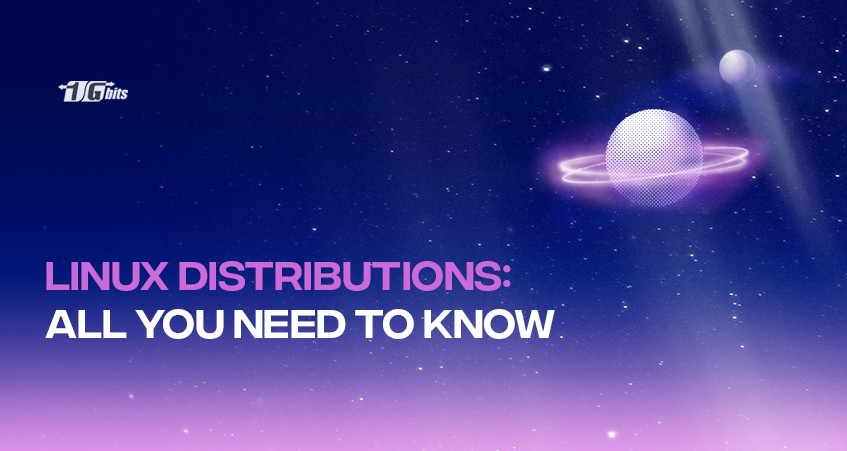 What is Linux distribution