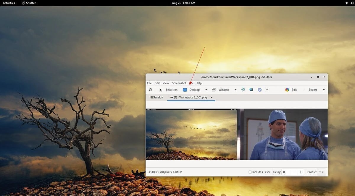Creating Screenshots with Shutter