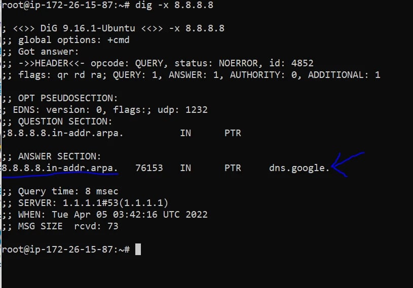 Checking Reverse DNS Lookup