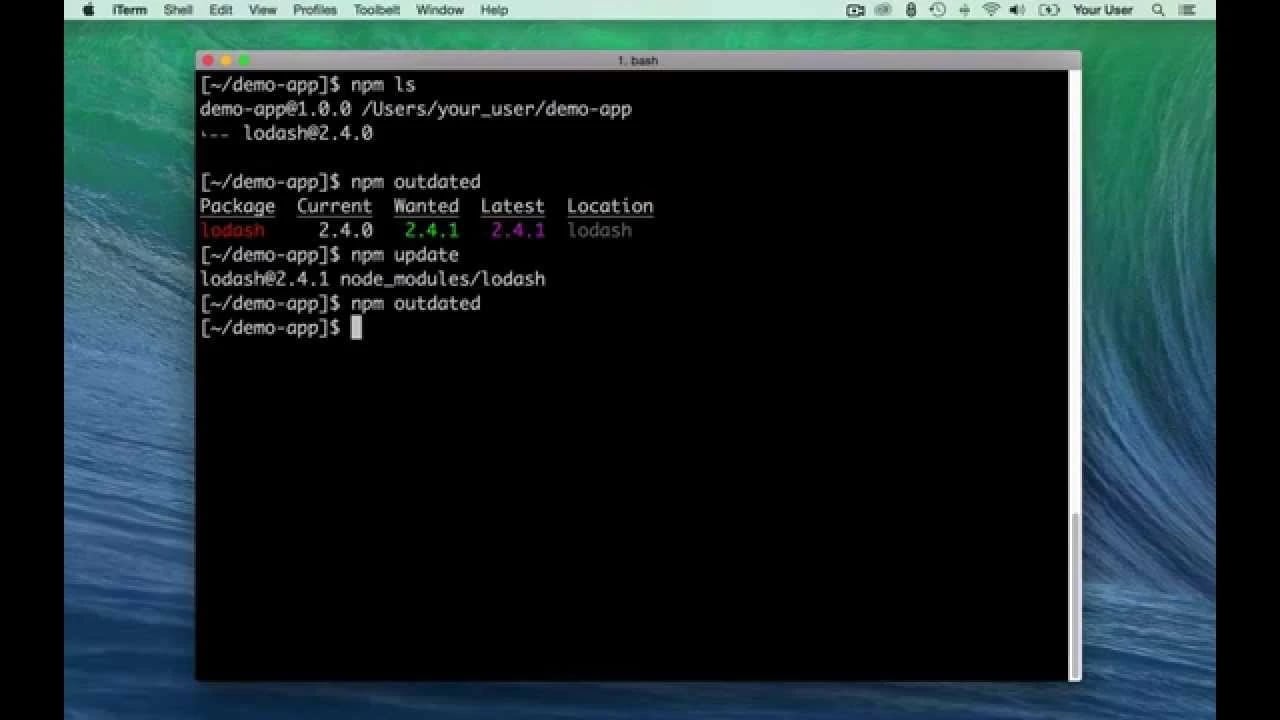 NPM update 4