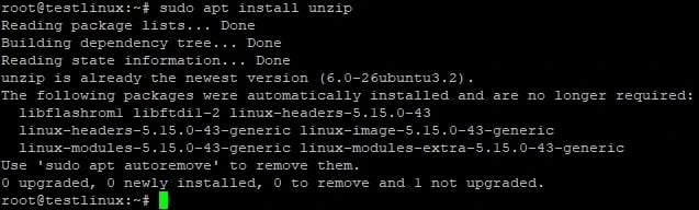 install unzip