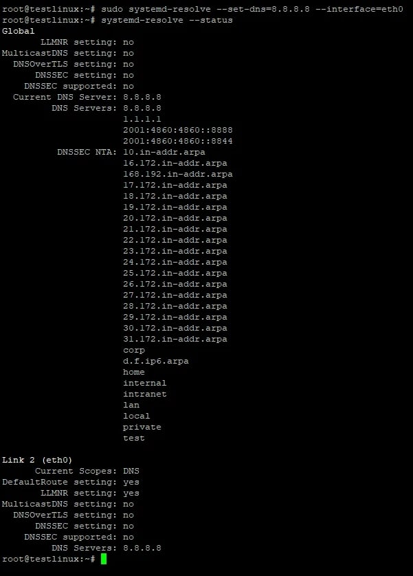 Execute the systemd-resolve Command