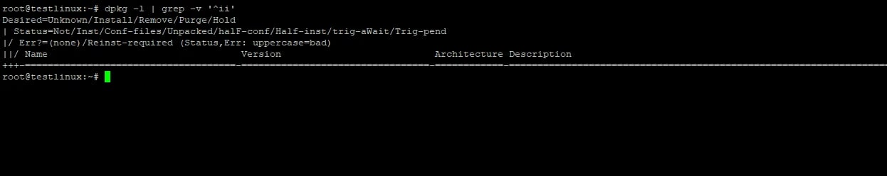 Check for Broken Packages