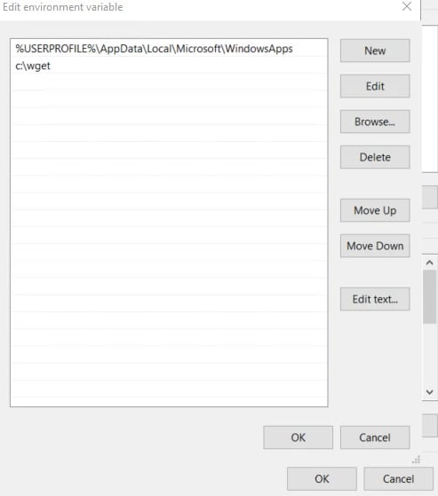 environment variable