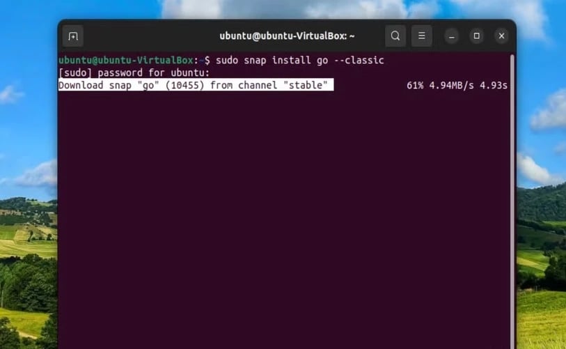 Install Go Ubuntu via Snap