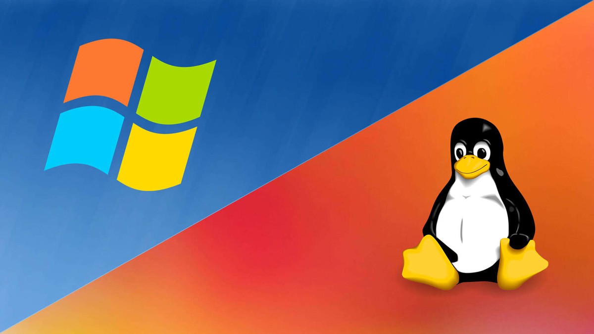 Windows or Linux Server Operating System