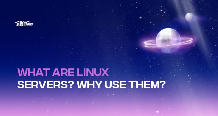 What Is a Linux Server?