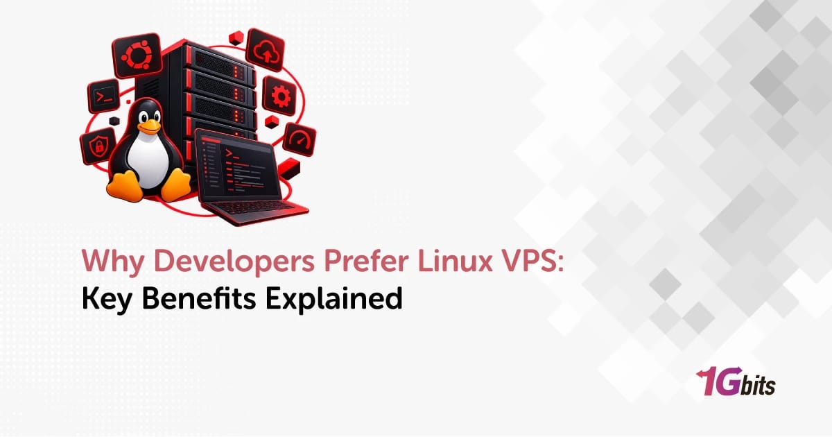 Why Developers Prefer Linux VPS: Key Benefits Explained 🐧