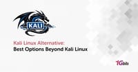 Kali Linux Alternative: 🛡️ Best Options Beyond Kali Linux
