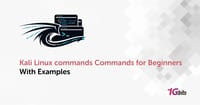 Kali Linux Commands for Beginners With Examples 🐉