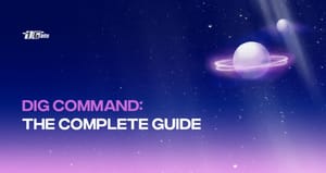 What is the DIG command? What is the DIG command?