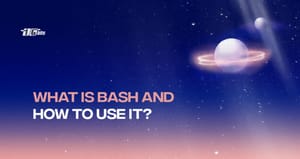 What is Bash and Unix Shell Commands? An introductory guide!