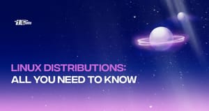 What is Linux distribution