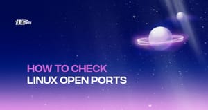 How to check Linux open ports?