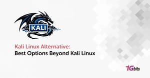 Kali Linux Alternative: 🛡️ Best Options Beyond Kali Linux