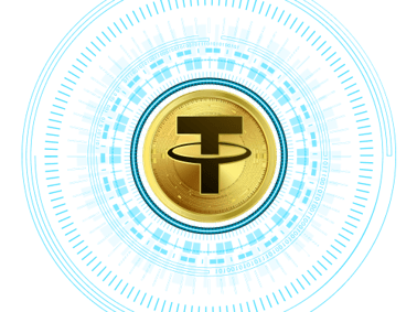 Dedicated Server with USDT