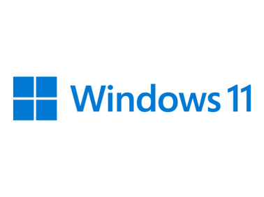Windows 11 VPS