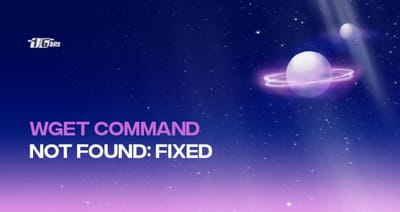 How to Fix Bash Wget command not found Error? [Guide]