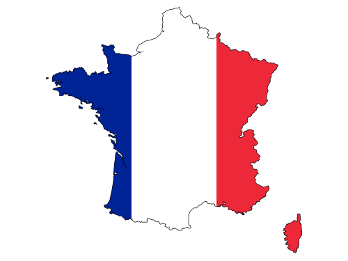 France Dedicated Server 