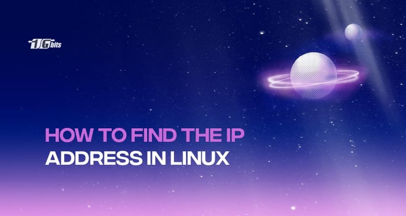 How to get IP address in Linux