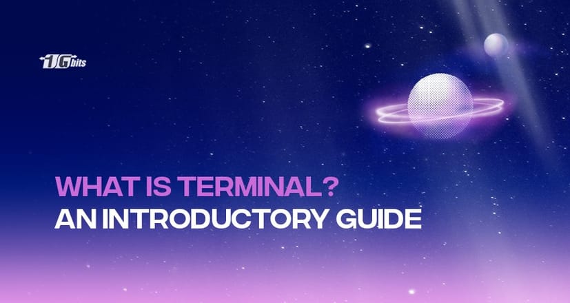 What is Terminal? How to use the terminal?