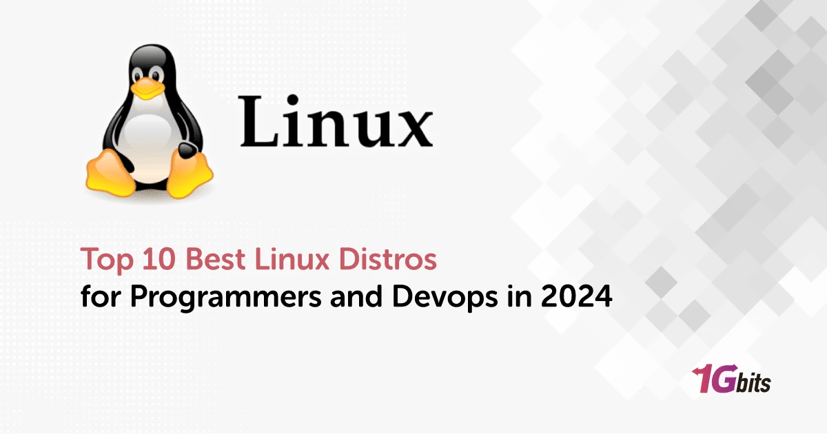 Top 10 Best Linux Distros for Programmers and Devops in 2025 Top 10 Best Linux Distros for Programmers and Devops in 2025