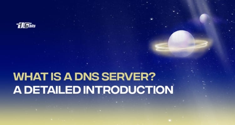 What is a DNS server?