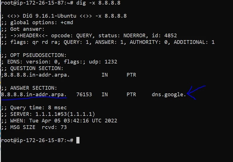 Checking Reverse DNS Lookup