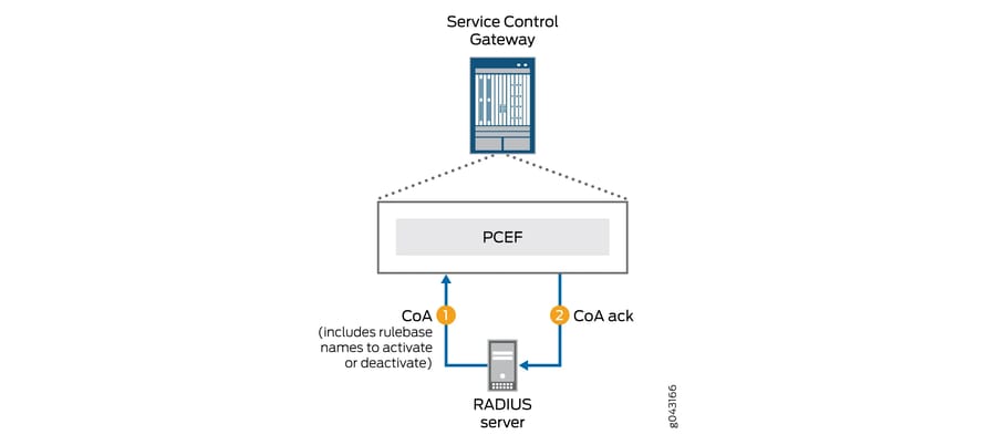 What is RADIUS Server